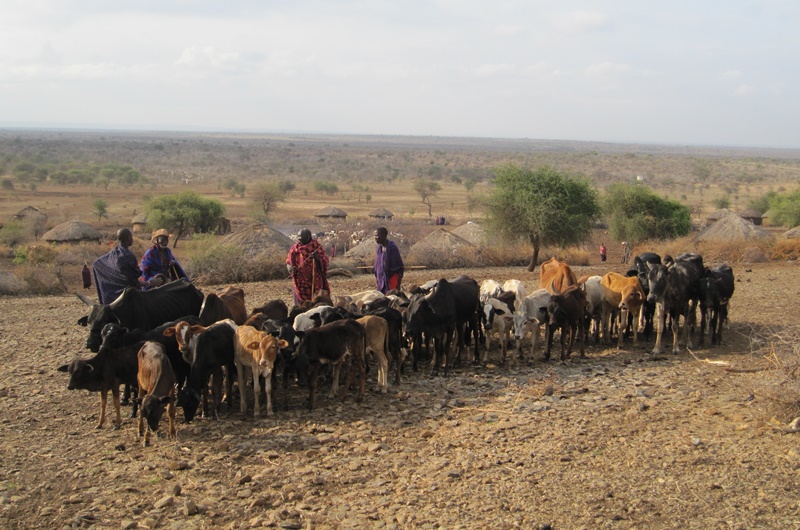 The Laiboni chief discusses with some villagers before leading the herd of cattle to water.